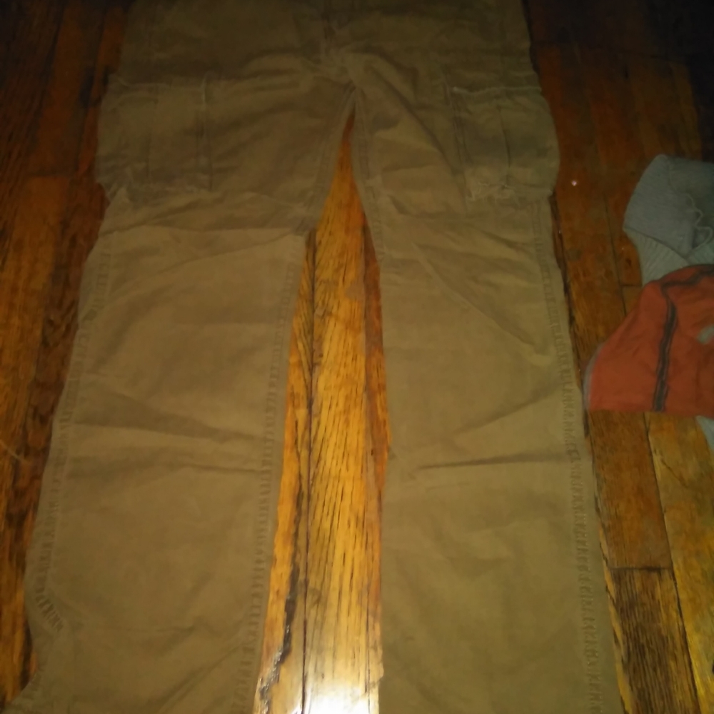 Levi's tan cargo pants